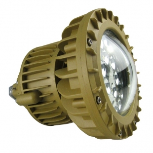 explosion proof lamp