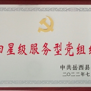 蓝锐科技党支部荣获岳西县“四星级服务型党组织”荣誉称号